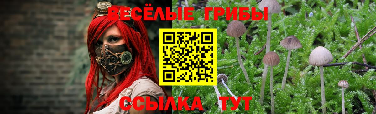 Галлюциногенные грибы MAGIC MUSHROOMS  Вход с VPN  Аксай 